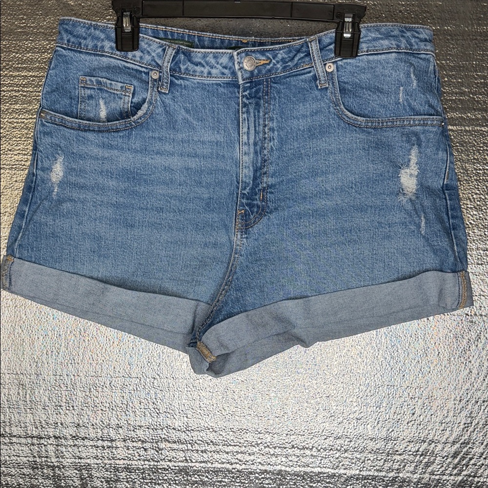 Wild Fable Light Blue Jean Shorts